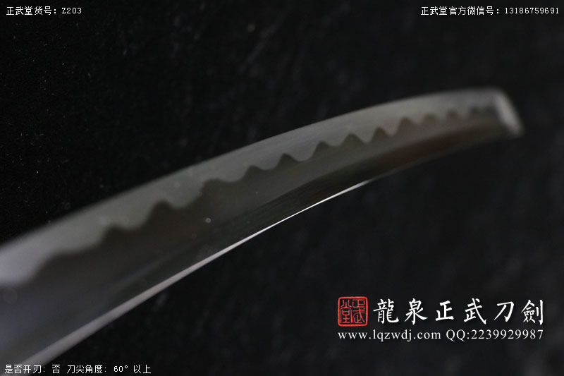周正武龍泉寶劍專(zhuān)賣(mài)店,周正武龍泉?jiǎng)r(jià)格,正武堂官網(wǎng),龍泉刀劍官網(wǎng),龍泉?jiǎng)χ苷?正武刀劍,龍泉正武刀劍官網(wǎng),龍泉正武刀劍,龍泉?jiǎng)? border=