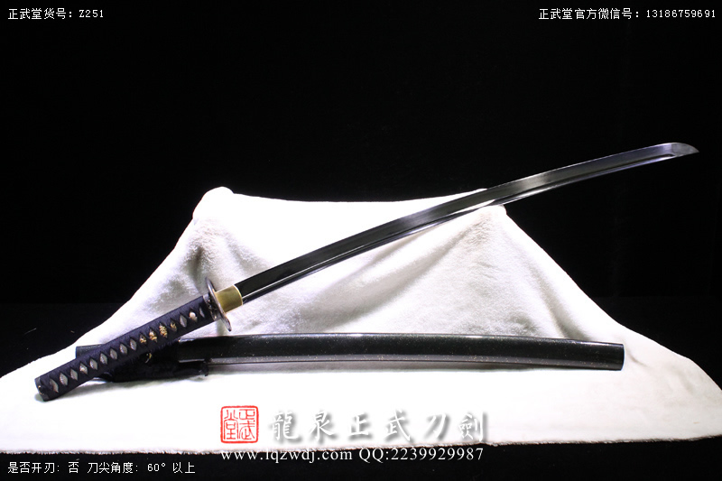 周正武龍泉寶劍專賣店,周正武龍泉?jiǎng)r(jià)格,正武堂官網(wǎng),龍泉刀劍官網(wǎng),龍泉?jiǎng)χ苷?正武刀劍,龍泉正武刀劍官網(wǎng),龍泉正武刀劍,龍泉?jiǎng)? border=